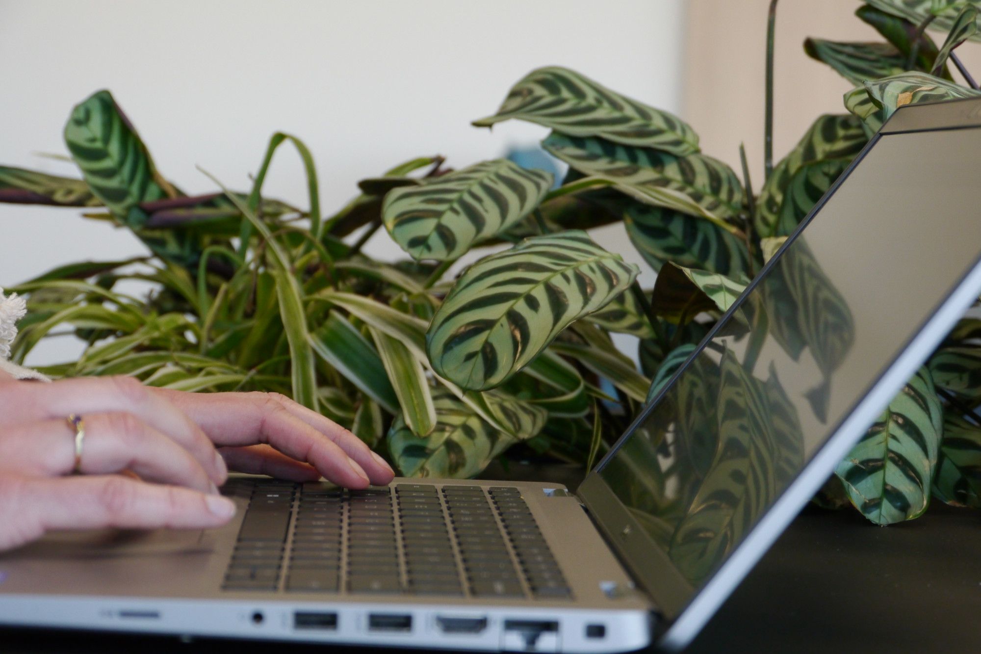 Medewerker aan het typen op laptop